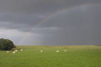 Fewo Weitblick
