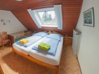 Ferienhaus Seedeich